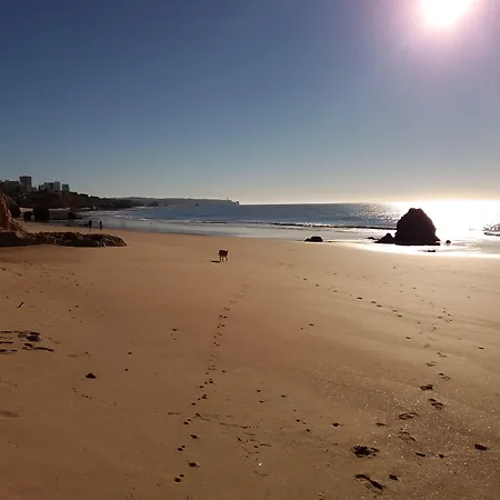 Szálloda Alcaide Portimão