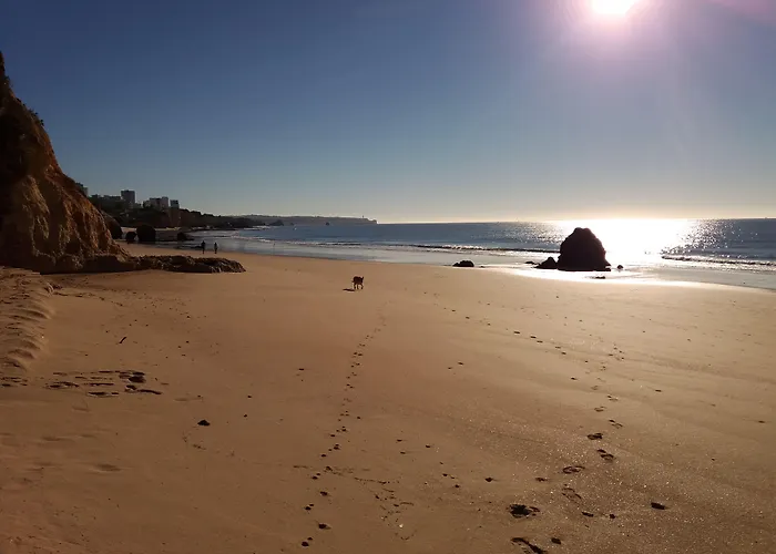 Szálloda Alcaide Portimão