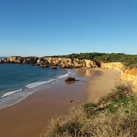 Hotel Alcaide Portimao